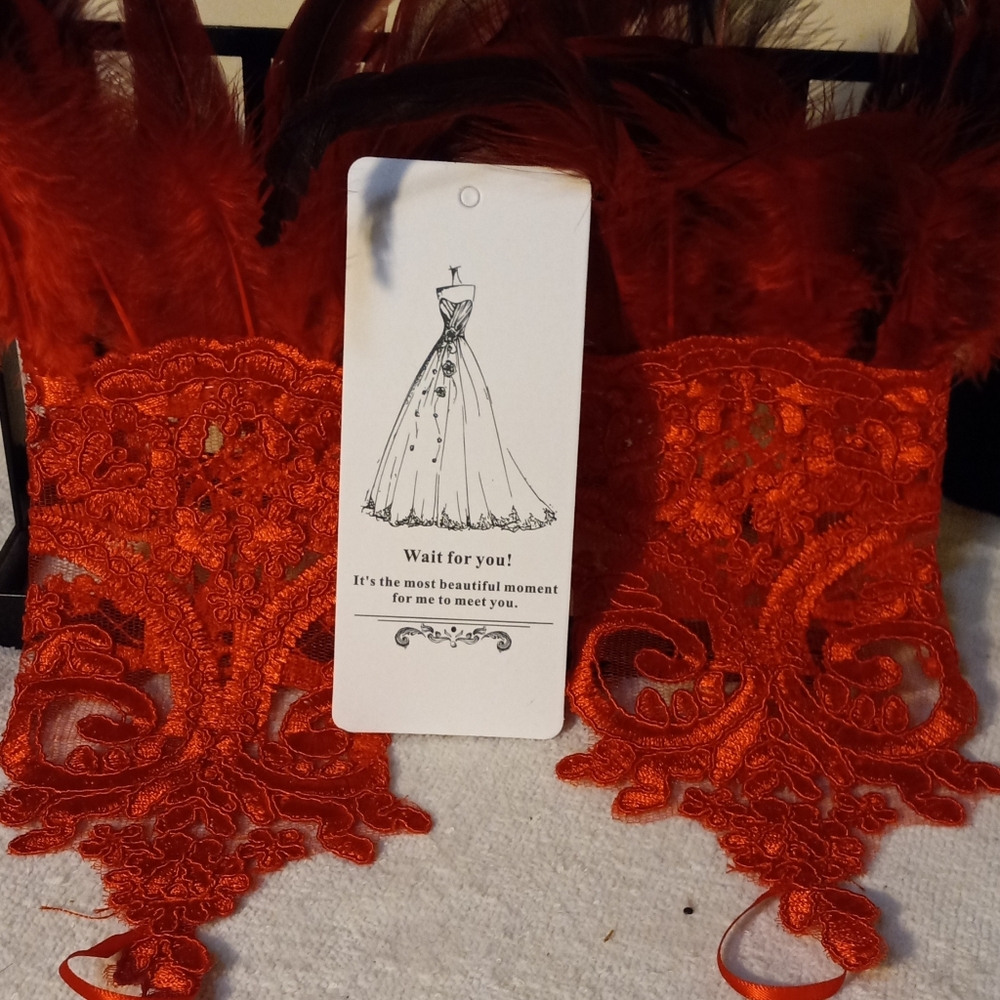 New,elegant red&black feathers red embroidered fingerless gloves for dress-up. - Picture 2 of 4